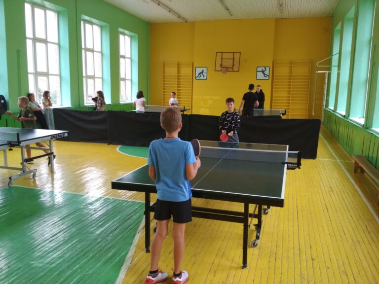 Чемпіонат з настільного тенісу